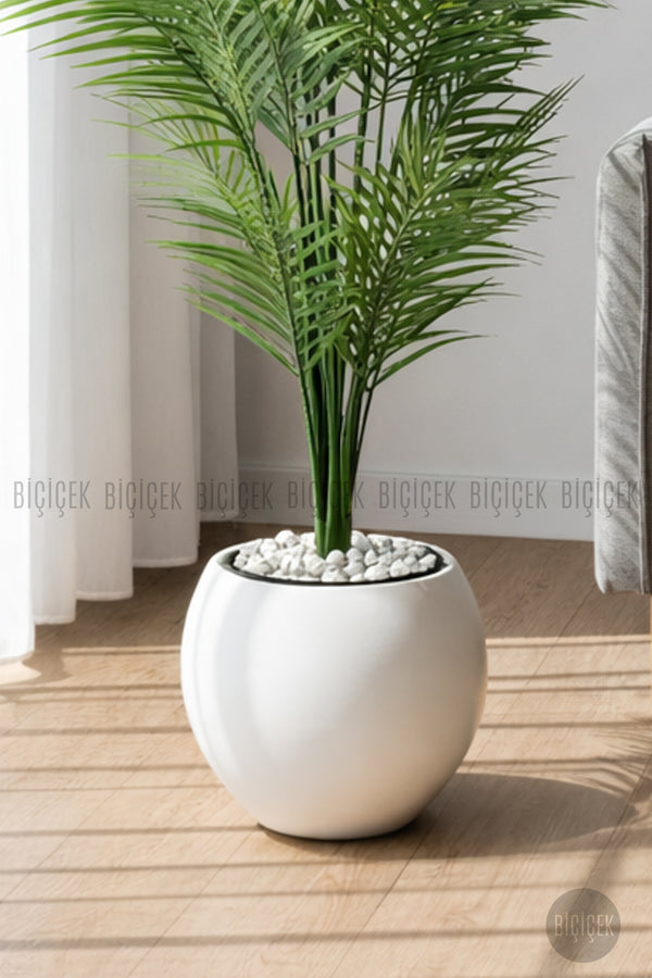 Areka Ağaci 24 Yapraklı 130 Cm Küre Saksıda