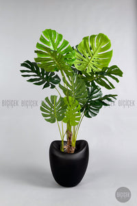 Yapay Monstera Ağacı Deve Tabani 170 Cm Mocha Lale Saksıda