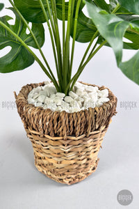 Yapay Monstera Deve Tabani 65 Cm Demir Destekli Kulpsuz Hasir Saksıda