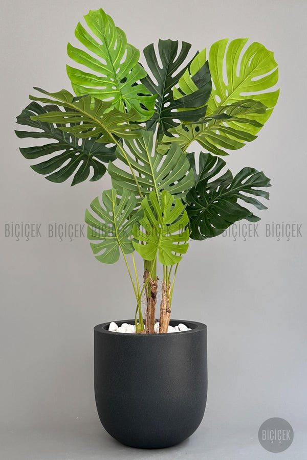 Yapay Monstera Ağacı Deve Tabani 180 Cm Antresit Çeşme Saksıda