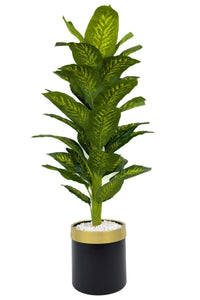Yapay Di̇fenbahya 170 Cm Si̇yah Gold Metal Saksıda